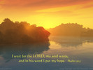 I wait for the LORD, my soul waits, and in his word I put my hope. Psalm 130:5