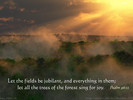 Let the fields be jubilant, and everything in them; let all the trees of the forest sing for joy. Psalm 96:12