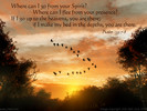 Where can I go from your Spirit? Where can I flee from your presence? If I go up to the heavens, you are there; if I make my bed in the depths, you are there. Psalm 139:7-8